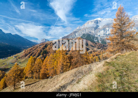 Passo Campolongo, Vénétie, province de Belluno, Italie, Europe Banque D'Images