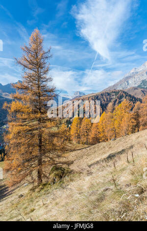 Passo Campolongo, Vénétie, province de Belluno, Italie, Europe Banque D'Images