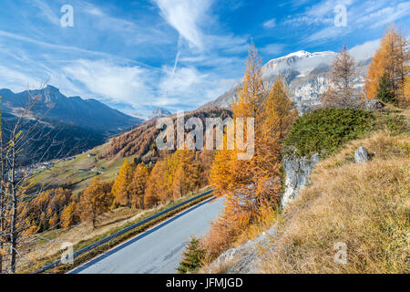 Passo Campolongo, Vénétie, province de Belluno, Italie, Europe Banque D'Images