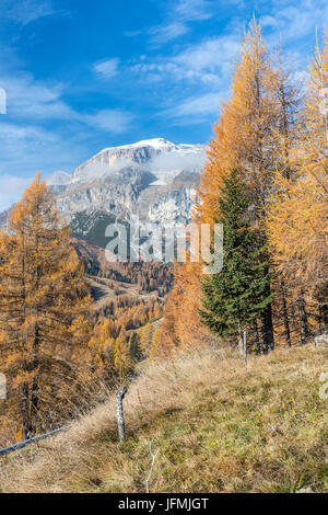 Passo Campolongo, Vénétie, province de Belluno, Italie, Europe Banque D'Images