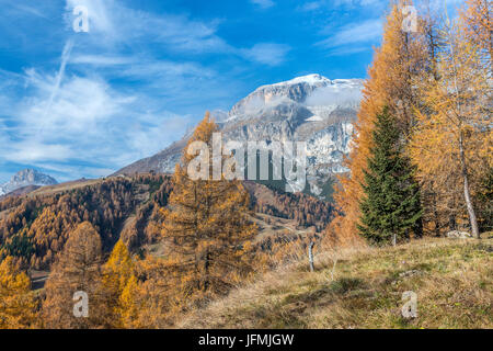 Passo Campolongo, Vénétie, province de Belluno, Italie, Europe Banque D'Images