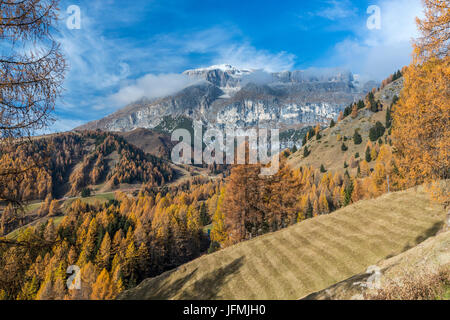 Passo Campolongo, Vénétie, province de Belluno, Italie, Europe Banque D'Images