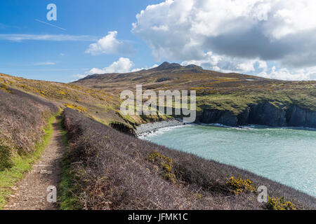 Porthmelgan vu de Wales Coast Path au St David's Head, le Parc National de Pembrokeshire Coast, Pays de Galles, Royaume-Uni, Europe. Banque D'Images