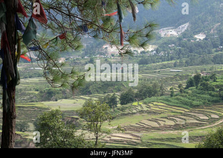 Les drapeaux de prières sur les arbres en regardant vers les rizières de Shivapuri Nagarjun National Park, au Népal Banque D'Images