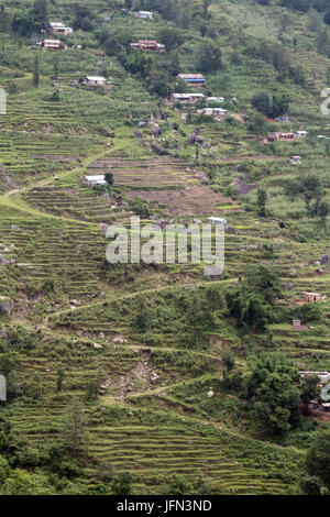 Les chemins en zig-zag et terrasses sur le flanc en passant par les plantations de riz dans la Vallée de Kathmandu Parc National de Shivapuri Nagarjun, Népal Banque D'Images