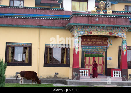 Nagi Gompa sur Shivapuri Shivapuri Nagarjun Hill National Park, au Népal Banque D'Images