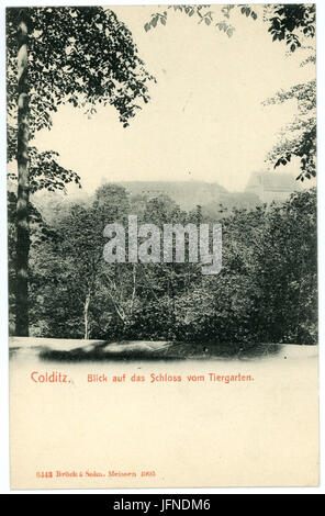 06443-Colditz-1905-Blick aufs Schloß vom Tiergarten aus-Brück & Sohn Kunstverlag Banque D'Images