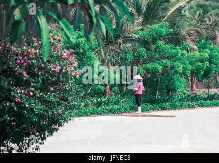 Jardinier vietnamien l'arrosage des plantes dans un domaine bien entretenu Banque D'Images