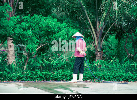 Jardinier vietnamien l'arrosage des plantes dans un domaine bien entretenu Banque D'Images