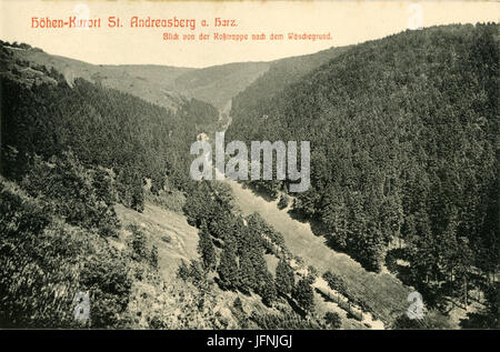 09198-St. Andreasberg-1907-Blick von der Roßtrappe nach der Wäschegrund-Brück & Sohn Kunstverlag Banque D'Images