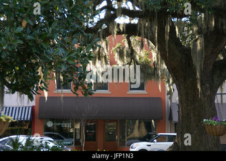 2011.02.18.170856 Geschäft Willis Park Bainbridge Géorgie Banque D'Images