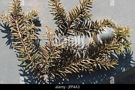 2013 0408 9999 Komín 30u Banque D'Images