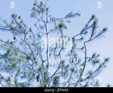 2013 0408 9999 Komín 103u Banque D'Images