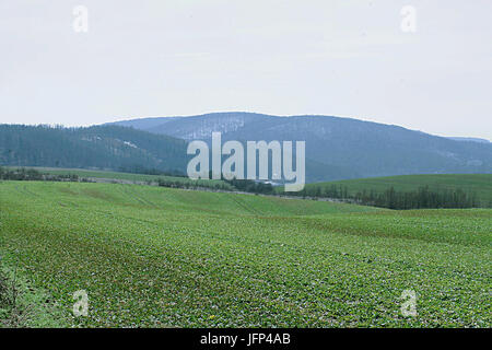 2013 0408 9999 119u4 Komín Banque D'Images