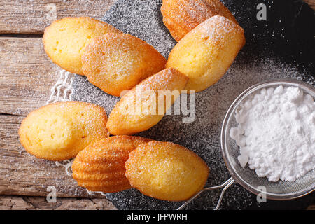 Madeleine cookies fraîchement cuits au four saupoudré de sucre en poudre sur la table horizontale vue du dessus. Banque D'Images