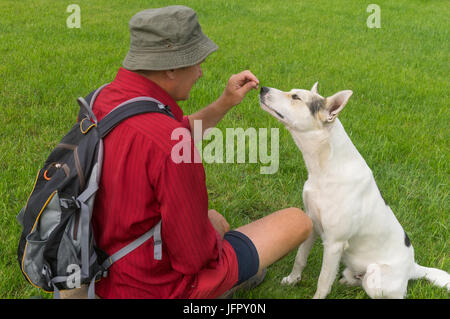 Homme mûr en chemise rouge blanc alimentation jeune chien, assis sur une pelouse verte Banque D'Images