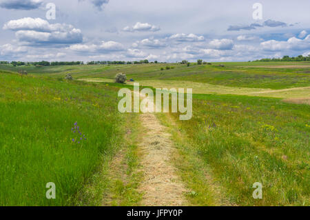 Paysage d'été ukrainien avec prairie en temps de fenaison Banque D'Images