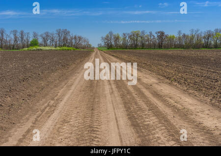 Paysage de printemps avec une route de terre entre les champs agricoles au centre de l'Ukraine Banque D'Images