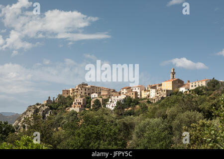 Maisons et clocher de l'église dans le village de montagne de Montemaggiore en Balagne Corse Banque D'Images