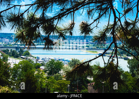 Belgrade Serbie Belle vue du vieux château et arbre vert Banque D'Images