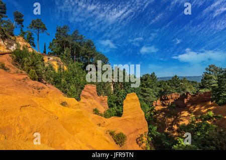 Créer des arbres vert contraste avec l'ocre Banque D'Images