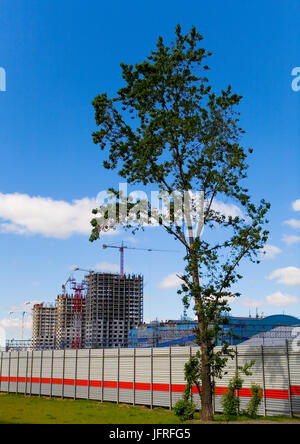 Un arbre dans le contexte de la construction d'un nouveau complexe résidentiel à l'Avtozavodskaya. Le territoire de l'ancienne usine ZIL, à côté de la statio Banque D'Images