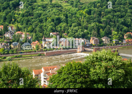 Beaucoup de maisons d'habitation à la colline de la digue de la rivière Neckar au centre de Heidelberg, une vue panoramique sur les toits, B Banque D'Images