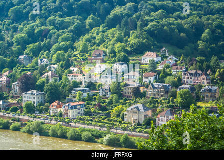 Beaucoup de maisons d'habitation à la colline de la digue de la rivière Neckar au centre de Heidelberg, une vue panoramique sur les toits, B Banque D'Images