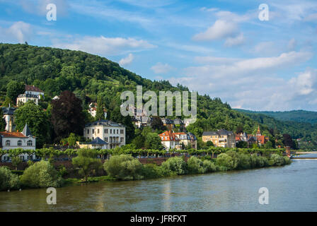 Beaucoup de maisons d'habitation à la colline de la digue de la rivière Neckar au centre de Heidelberg, une vue panoramique sur les toits, B Banque D'Images