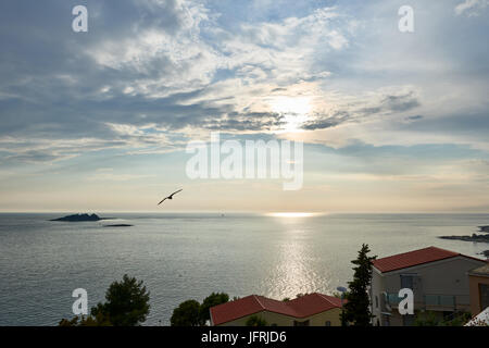 Mer Adriatique Mer au soir, Italy, Europe Banque D'Images