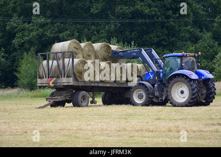 L'agriculture dans le Royaume-Uni. La préparation et la mise à l'hiver pour nourrir le bétail et les chevaux. Banque D'Images