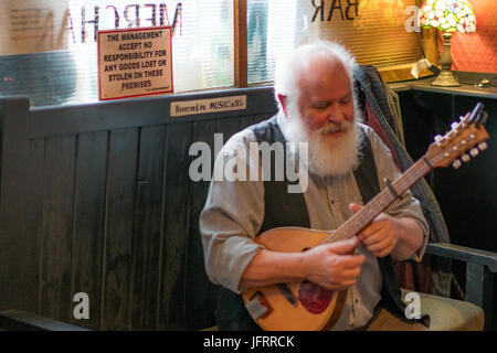 Un joueur de mandoline avec barbe blanche dans une musique traditionnelle irlandaise dans un pub à Dublin, en Irlande. Banque D'Images