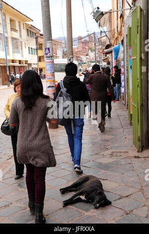 Dans l'ancienne capitale du puissant empire inca et plus tard la ville coloniale de Cuzco. Un chien prend une sieste au milieu de la chaussée d'une rue commerçante animée. Prises 25.10.2016. Photo : Reinhard Kaufhold/dpa-Zentralbild/ZB | conditions dans le monde entier Banque D'Images