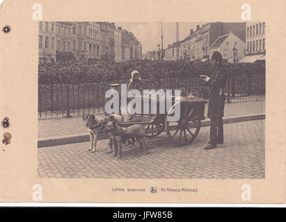 Antuérpia, Bélgica, inicio do Sec. XX, Laitière anversoise, Arquivo de Villa Maria, Angra do Heroísmo, Açores. Banque D'Images