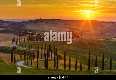 Coucher de soleil sur les collines, des champs verts, cyprès et arbres route sinueuse en Toscane, Italie Banque D'Images