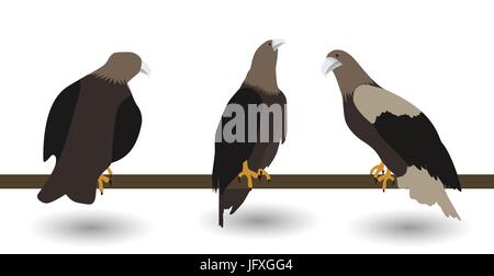 Jeu de silhouettes de vie rapide eagle dangereuses sur fond blanc. Vector Illustration. EPS10 Illustration de Vecteur