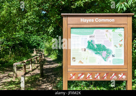 Un panneau d'interprétation au début d'un sentier et l'ensemble de Hayes en commun bridleway Bromley, au sud de Londres Banque D'Images