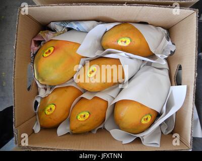 Food and Drug Administration ont inspecter les papayes mexicains importés arrivant à l'Otay Mesa Point d'entrée le 14 août 2011 à San Diego, Californie. (Photo par photo via la FDA) Planetpix Banque D'Images