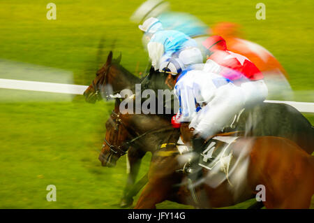 Course de chevaux sprint avec un effet de flou de zoom Banque D'Images