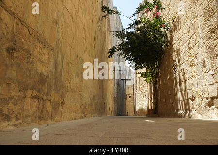 Une rue typique de Mdina, Malte a également connu sous le nom de 'La Ville' silencieux Banque D'Images