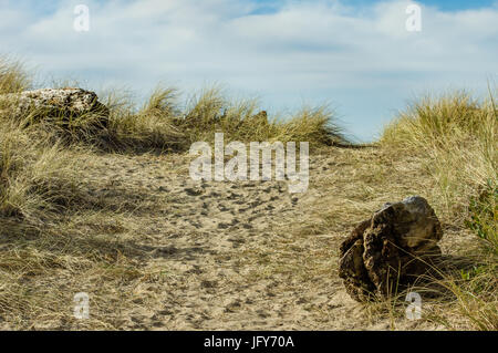 Chemin usé dans le sable sur la dune à travers la plage de l'herbe pour l'Océan Pacifique Banque D'Images