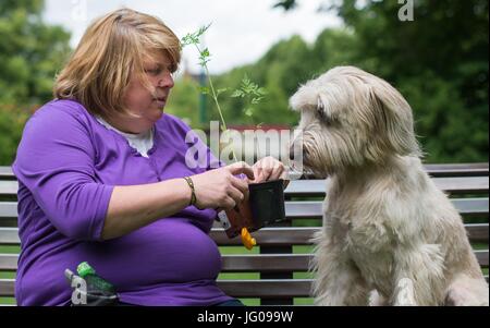 Le chien renifle le sol Arwen, à la recherche d'Ambrosia plantes avec l'aide de son professeur Katja Krauss à l'école canine 'Greh' à Berlin, Allemagne, 26 juin 2017. L'Ambroisie, plante qui ressemble très rudimentaires, est l'une des plus fortes de déclenchement d'allergies en Europe centrale. Photo : Monika Skolimowska/dpa Banque D'Images