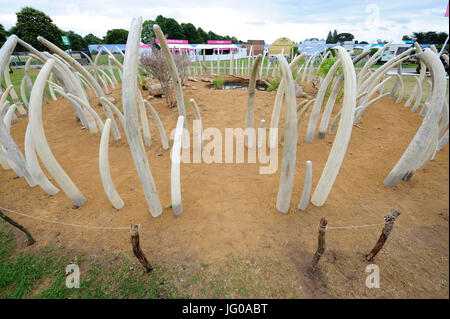 Londres, Royaume-Uni. 30Th May, 2017. Pas à vendre (jardin conçu par Mark Whyte et Sharmayne Ferguson), l'un des trois beaux et élégants jardins conceptuel sur l'affichage à l'ERS 2017 Hampton Court Flower Show qui a ouvert ses portes aujourd'hui, Londres, Royaume-Uni. Jardins conceptuels offrent aux concepteurs la possibilité de repousser les limites de ce qui définit un jardin. Sélectionné pour l'impact, le théâtre et l'originalité, les designers sont encouragés à utiliser un maximum d'imagination et de créativité. Crédit : Michael Preston/Alamy Live News Banque D'Images