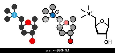 La Muscarine molécule de toxines de champignons. L'agoniste des récepteurs muscariniques de l'acétylcholine. Formule topologique classique et représentations stylisées. Illustration de Vecteur