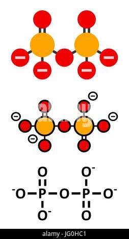 L'anion pyrophosphate (PPi). Important en biochimie, utilisé comme additif alimentaire (E450). Formule topologique classique et représentations stylisées. Illustration de Vecteur