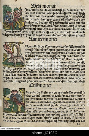 Fotothek df tg 0004477 Astronomie 5E Kalender 5E Monat 5symbole E Banque D'Images