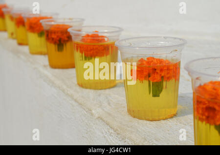 Verres à l'eau de fleurs d'oeillet au grand stupa Bodnath à Katmandou, au Népal. Banque D'Images