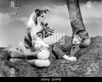 LASSIE COME HOME 1944 film MGM viennent avec Roddy McDowall & Lassie Banque D'Images
