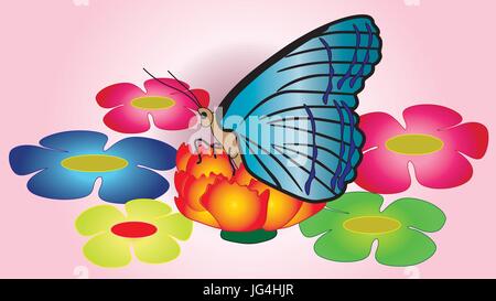 Papillon aux ailes du grand bleu assis sur une fleur sur un fond rose. Illustration de Vecteur