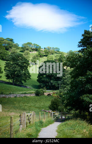 Un chemin à travers les terres agricoles en Wharfedale, Yorkshire. Royaume-uni. sur une journée ensoleillée avec de la végétation verte et un ciel bleu avec des nuages Banque D'Images